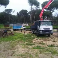 Poda y tala de árboles en altura, JAÉN